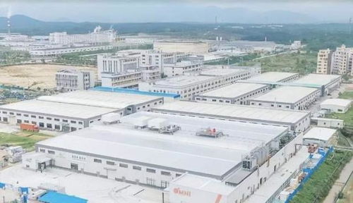 中國崛起為全球植物基食品重要市場，Omni新葷主義引領安心純素餐飲服務新潮流